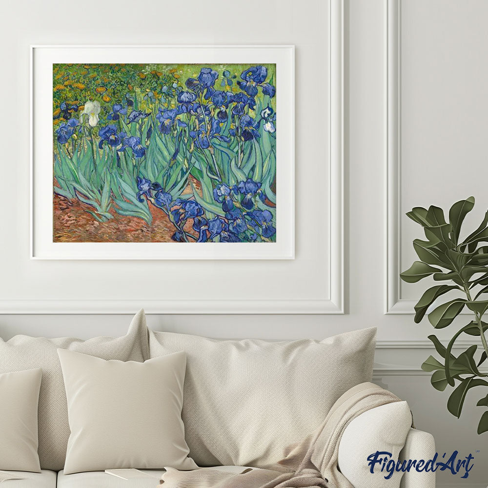 Pintura por números - Van Gogh Iris