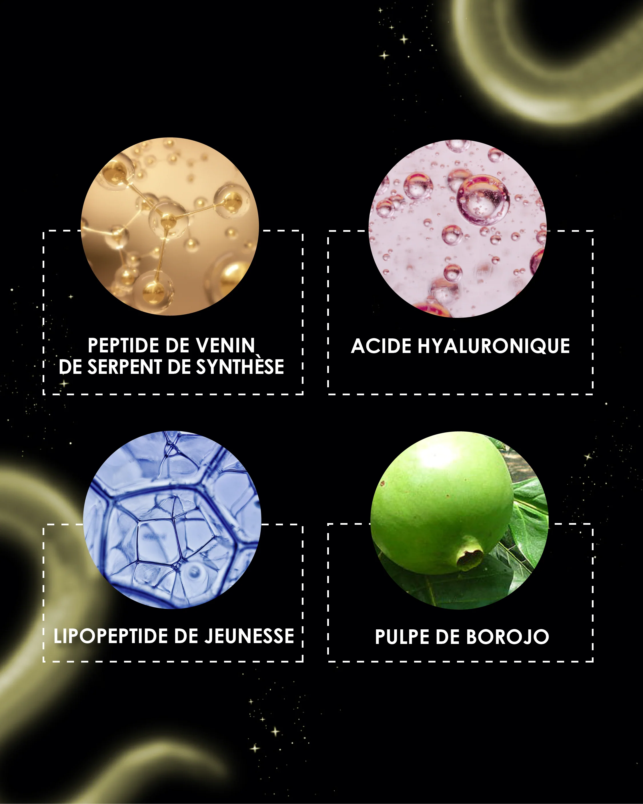 Los 4 principios activos clave de la crema de noche Garancia: Péptido de veneno de serpiente, Ácido hialurónico, Lipopéptido juvenil y Pulpa de borojó