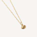 Shell Necklace