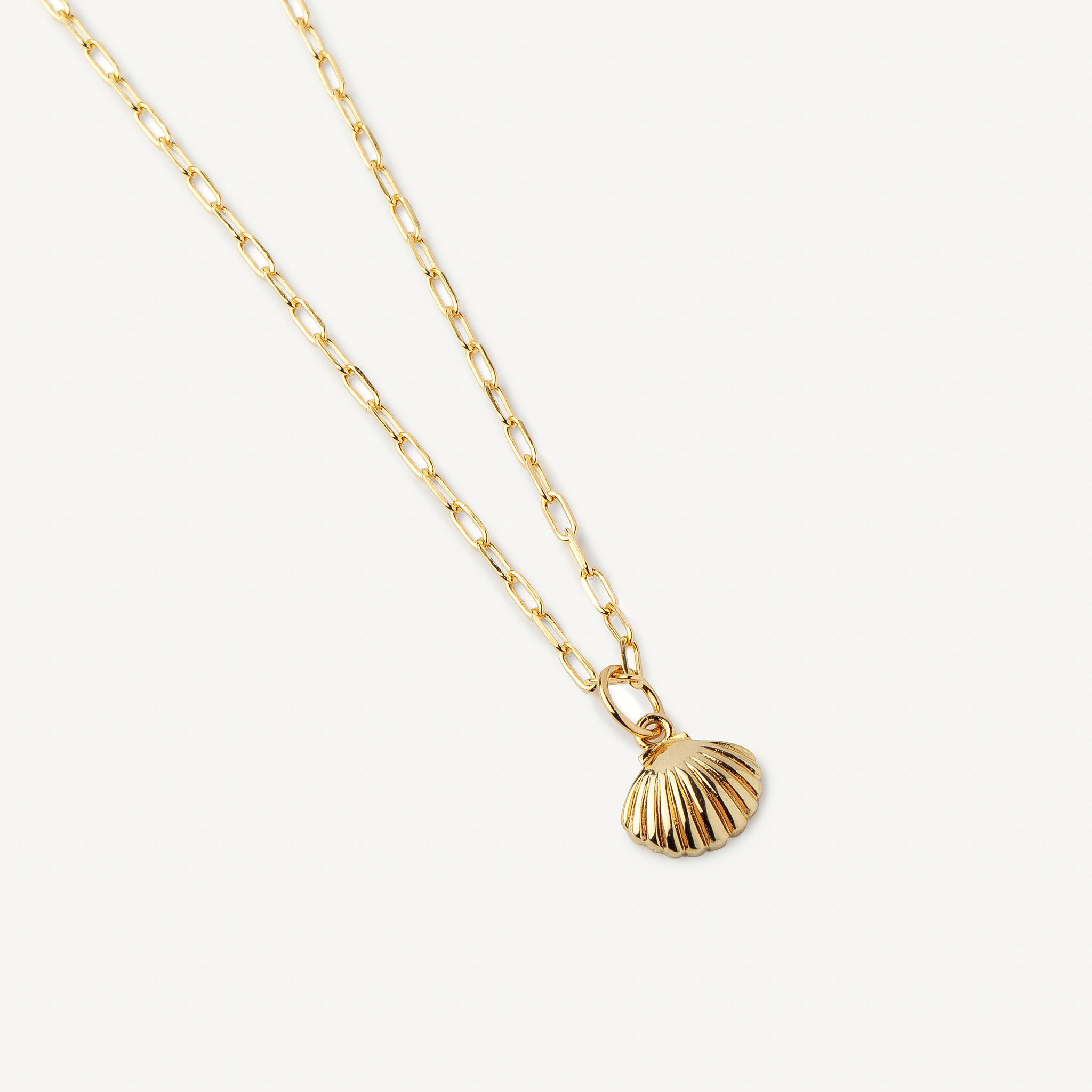 Shell Necklace