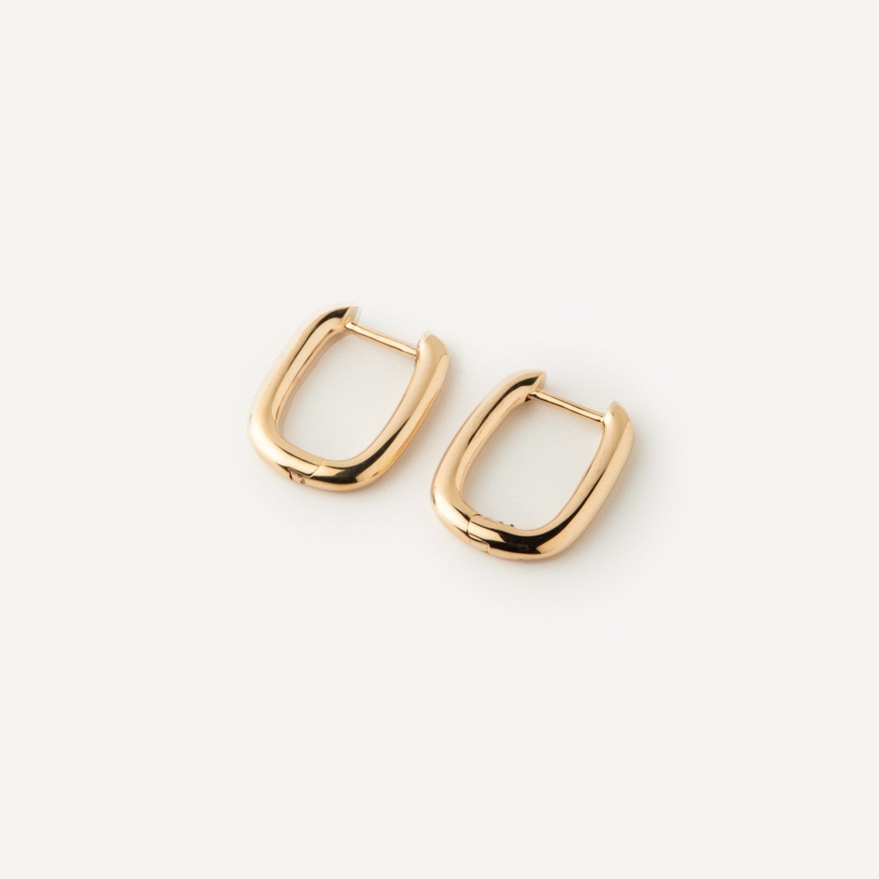 Gaia hoop earrings