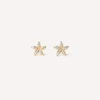 Boucles D'Oreilles Arielle