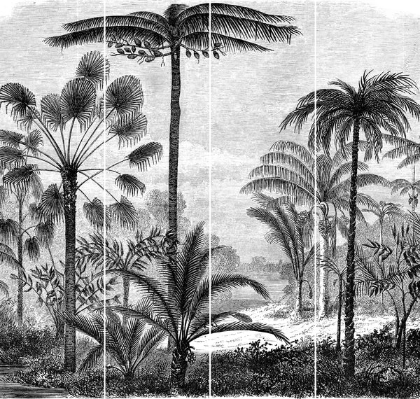 Lé Papiers De Ninon – Aladin Wardrobe Adhesive - Multicoloured, black and white drawing of a tropical forest with tall palm trees