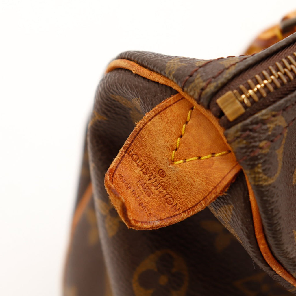 Le Speedy 25 Louis Vuitton