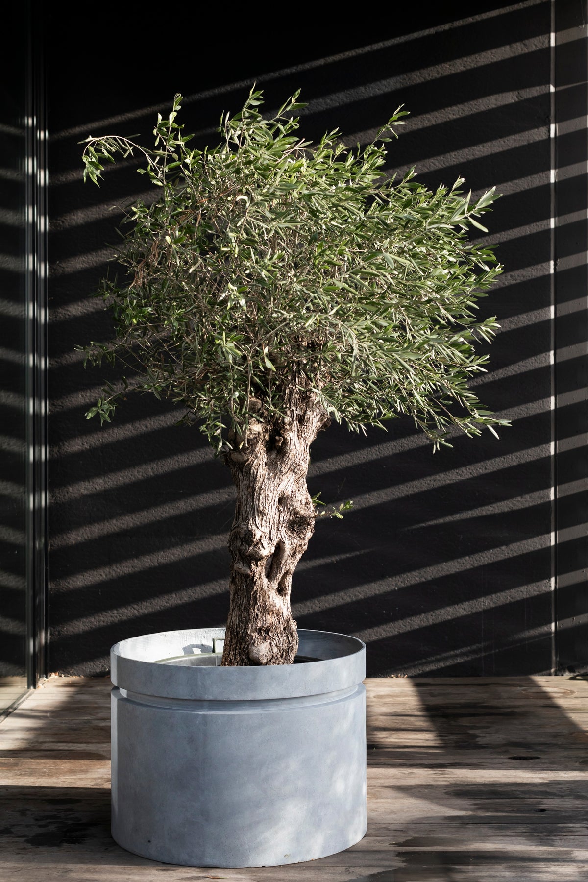 Urban Jungle - Planter - L - Fibreglass - Grey