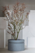 Urban Jungle - Planter - L - Fibreglass - Grey