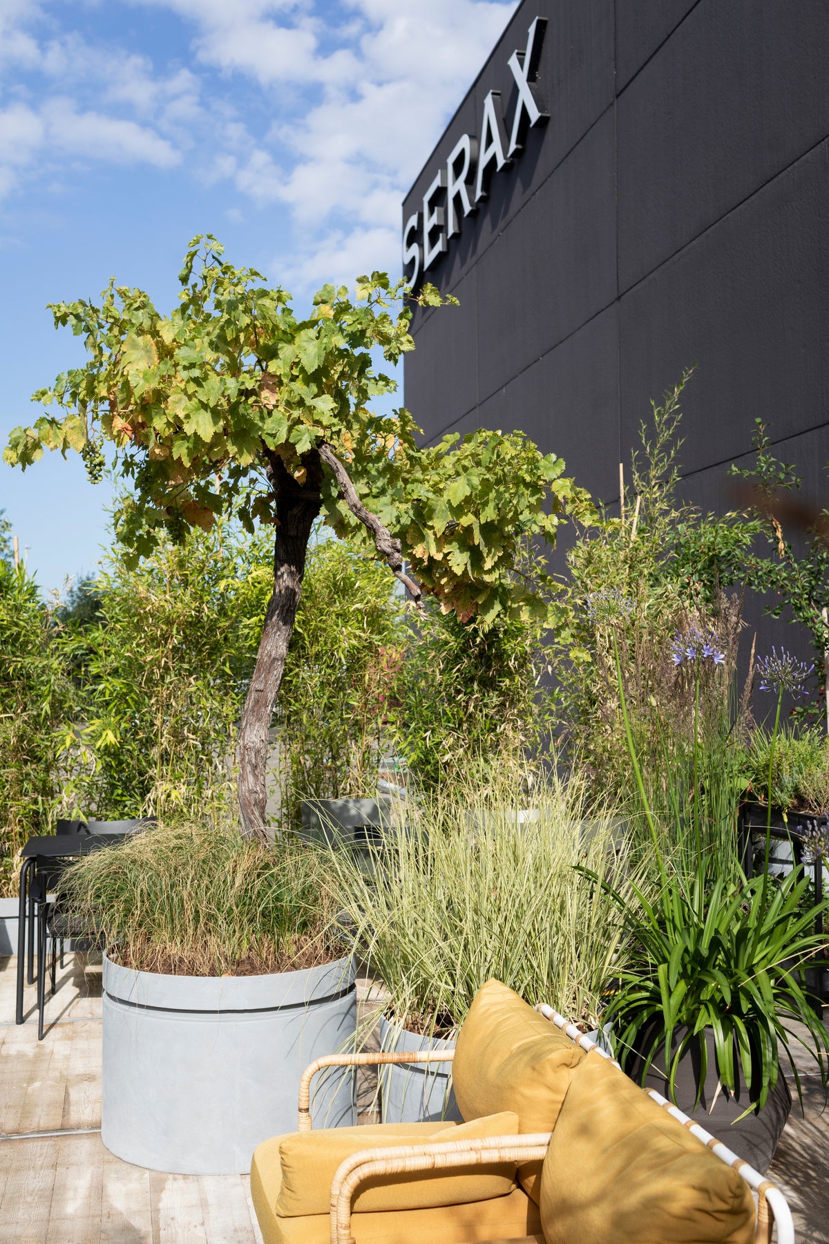 Urban Jungle - Planter - L - Fibreglass - Grey