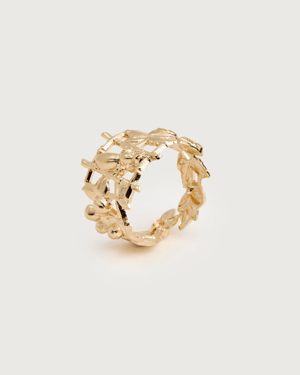 Ring Isel