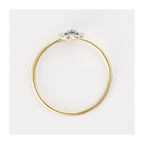Anillo “Corazón Eterno” D0.10/17