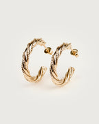 Glorio Earrings - Pair