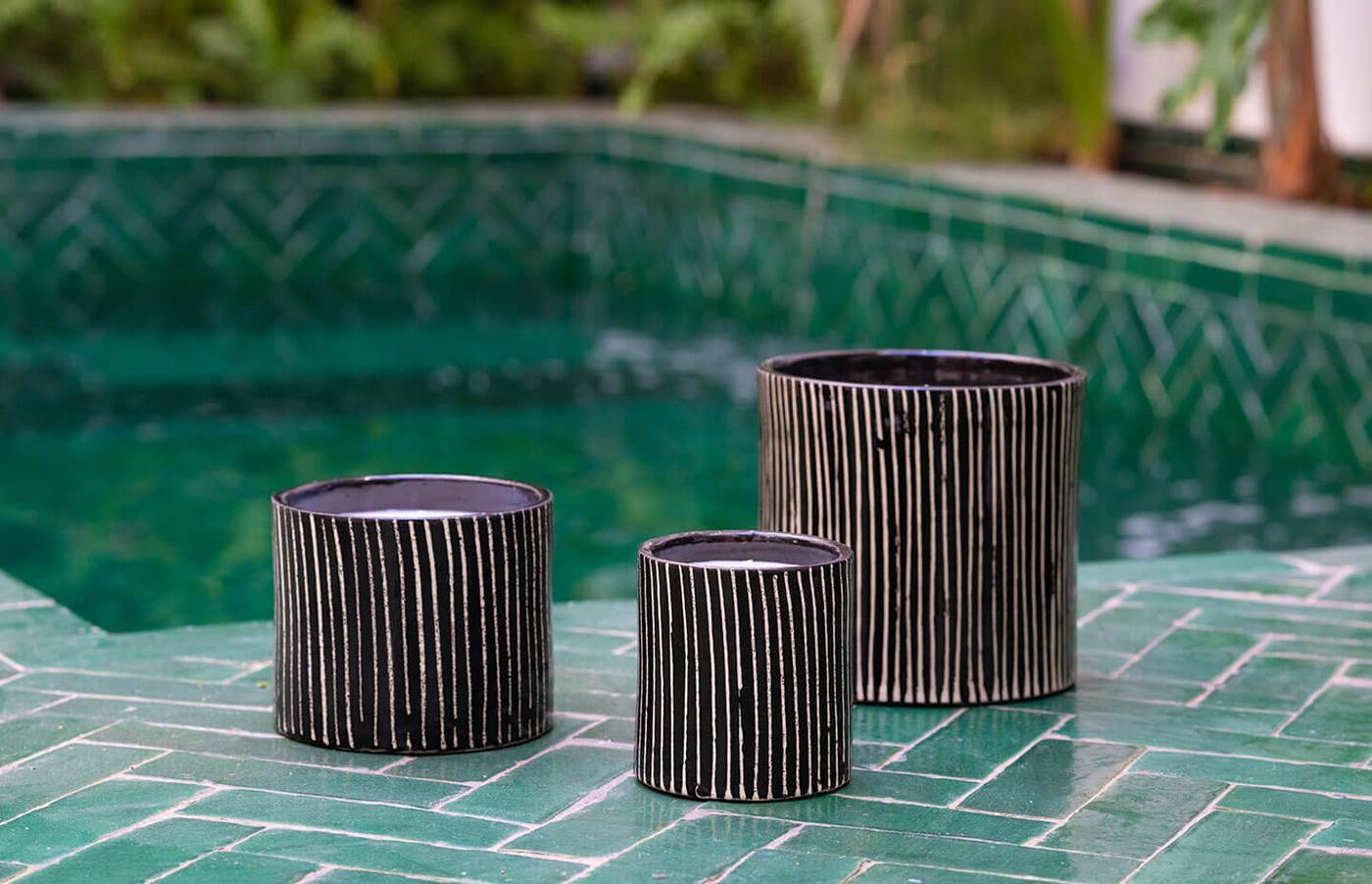 Vela Cebra - Mandarina Majorelle - Negro y Blanco