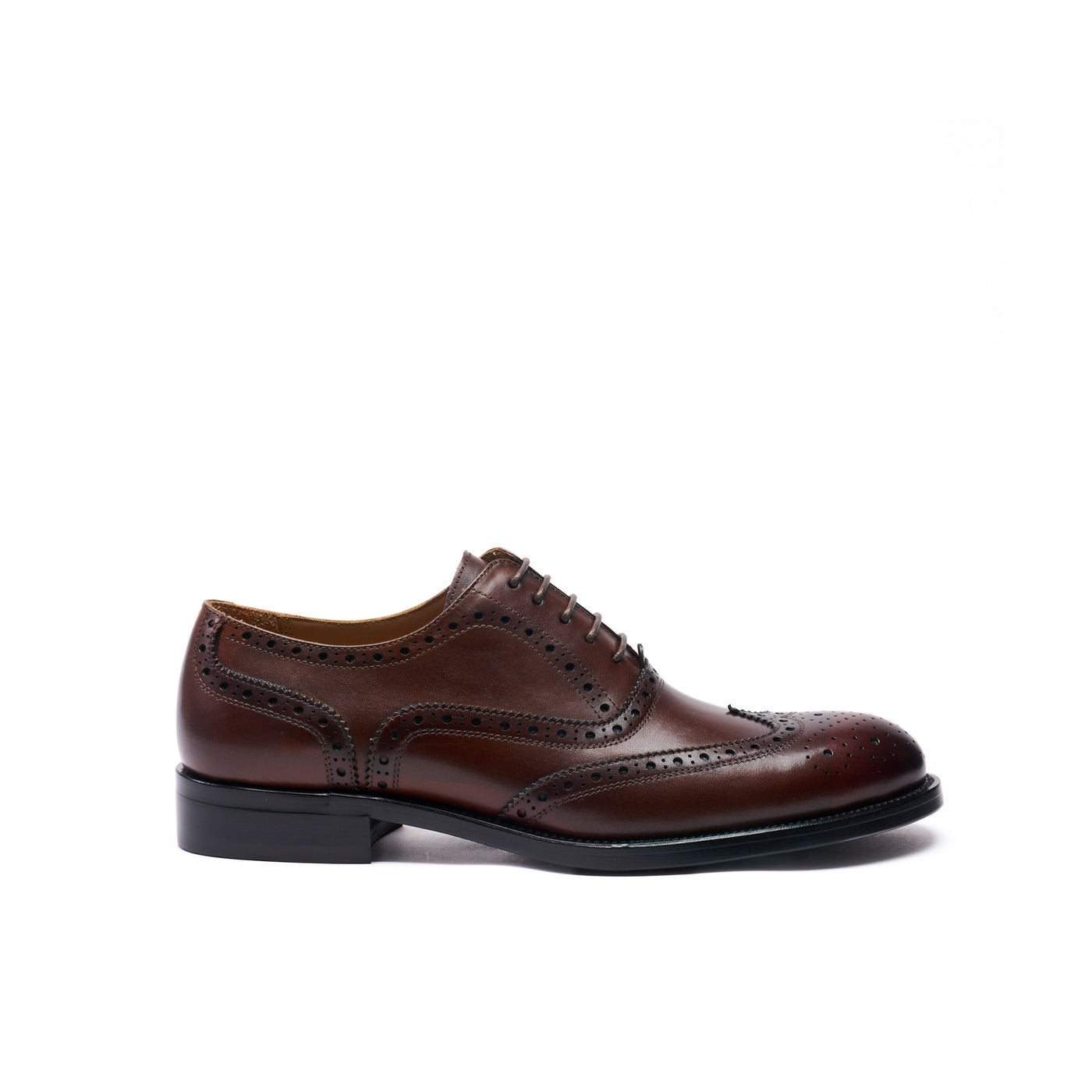 Oxford con puntera brogue - Marrón oscuro - Hombre