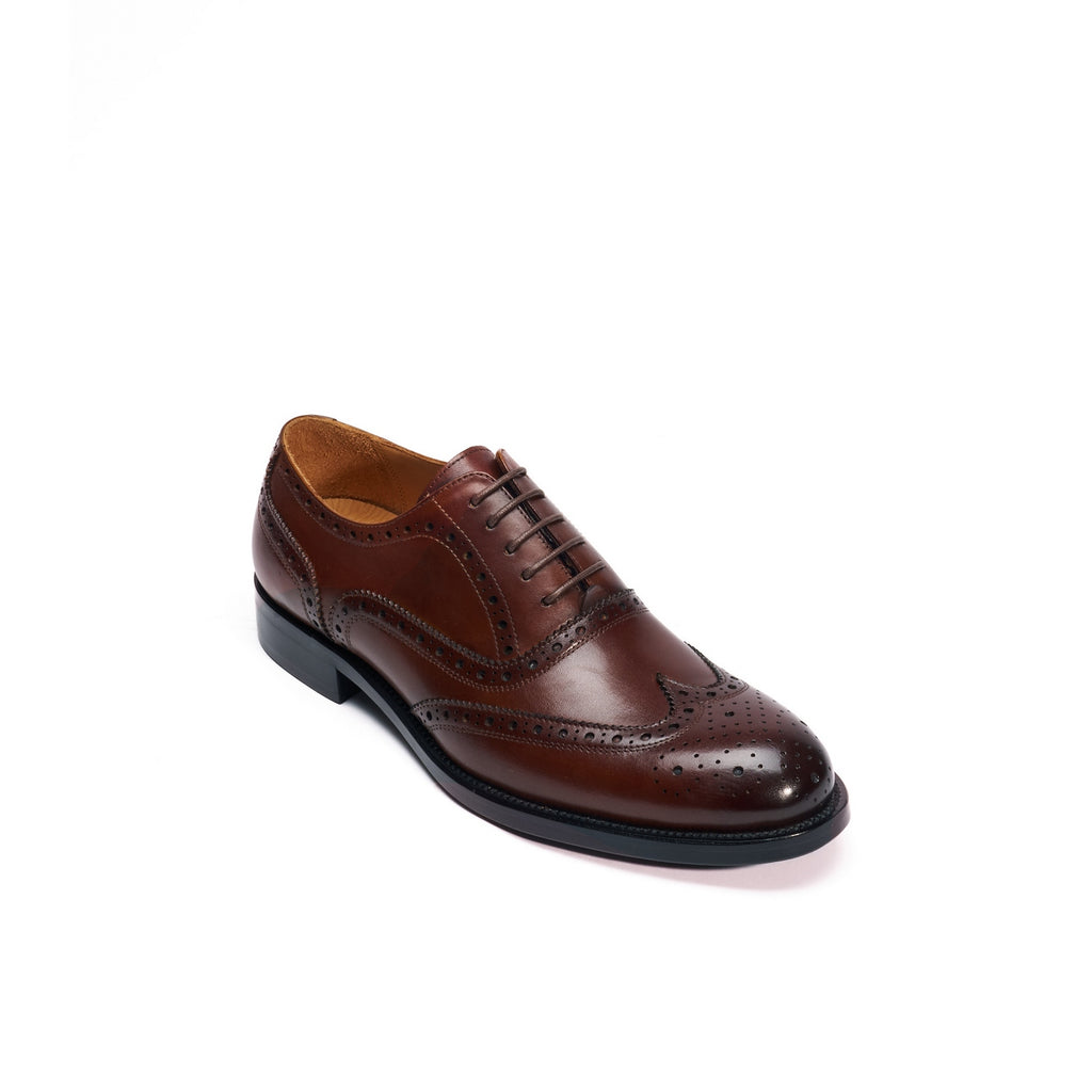 Oxford con puntera brogue - Marrón oscuro - Hombre
