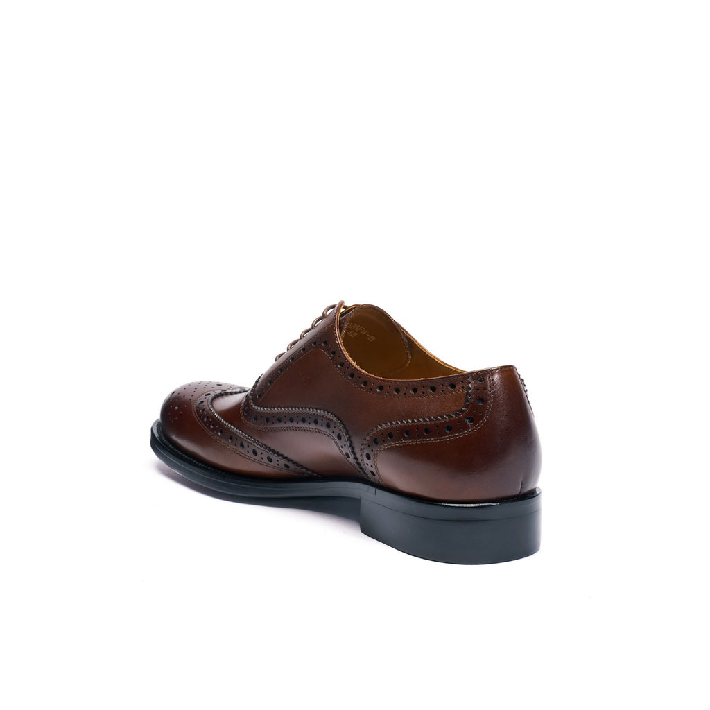 Oxford con puntera brogue - Marrón oscuro - Hombre