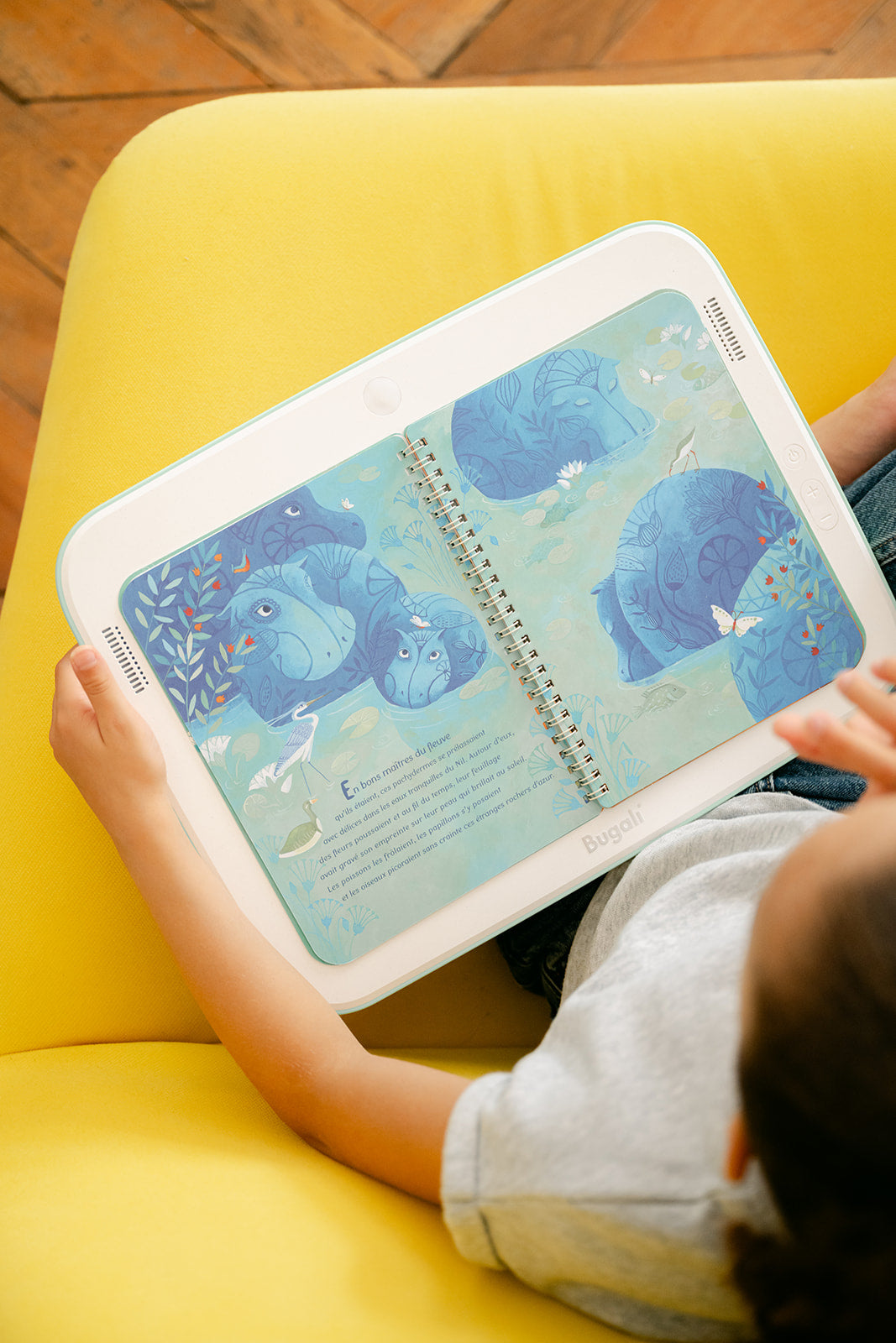 Libro - Little Noun, El hipopótamo azul de las orillas del Nilo (5+)