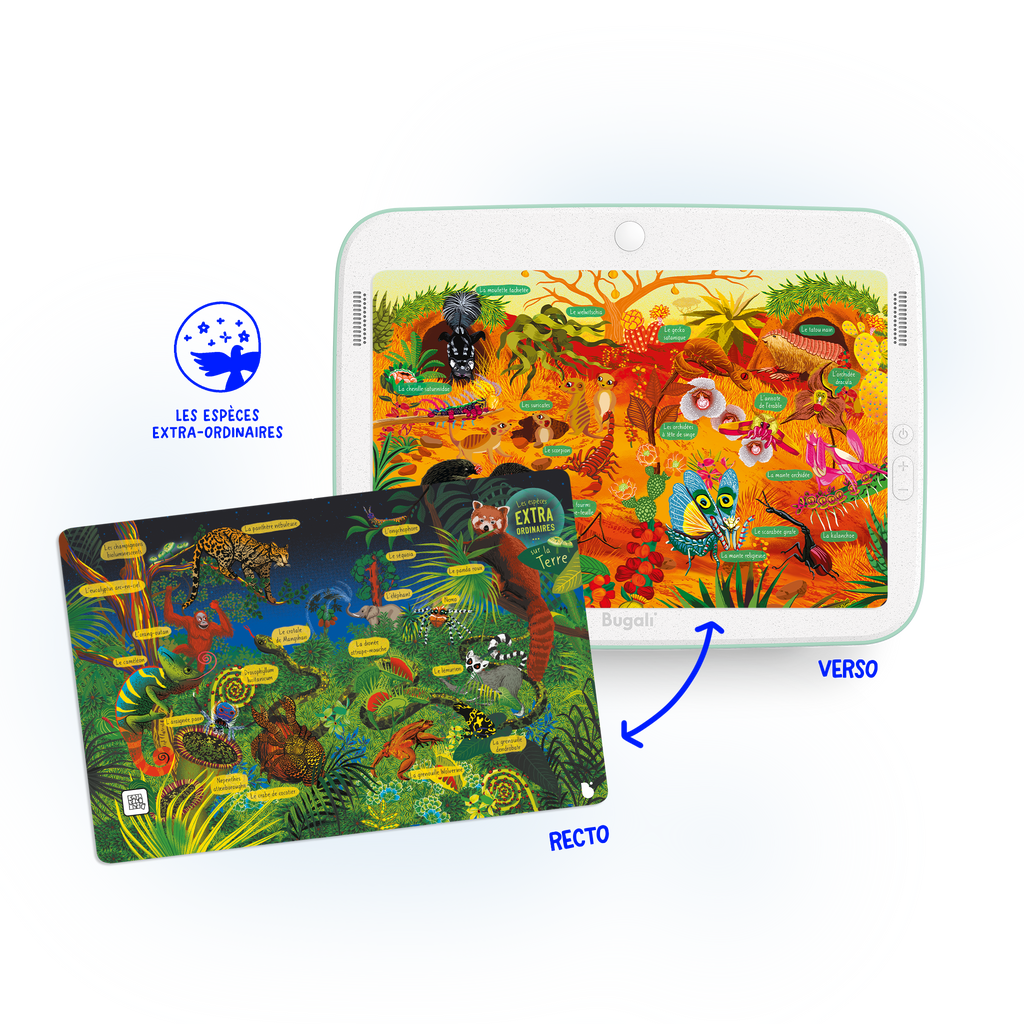 Box of 5 Interactive Zoom Cards! (5+)