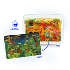 Box of 5 Interactive Zoom Cards! (5+)