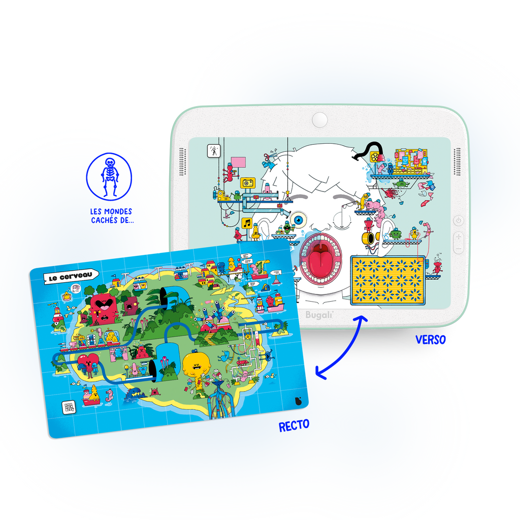 Box of 5 Interactive Zoom Cards! (5+)