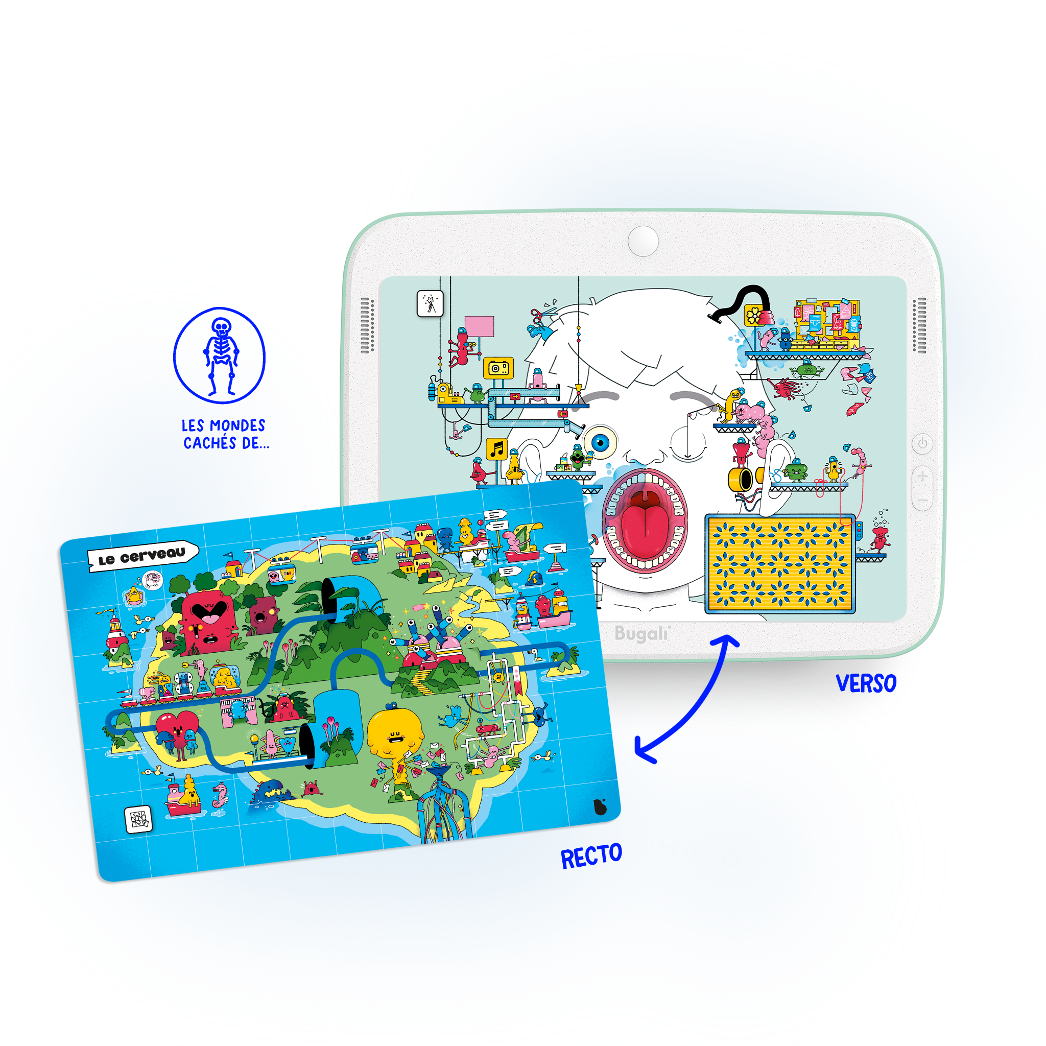 Box of 5 Interactive Zoom Cards! (5+)