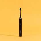 Brosse Noire + Étui + Support