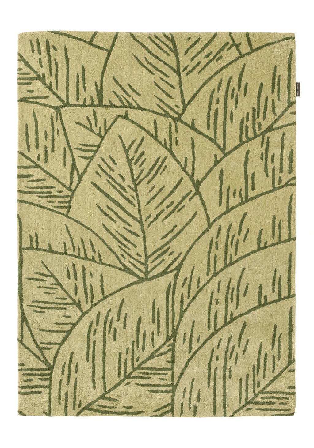 White cedar – Foliage pattern wool rug - green White cedar