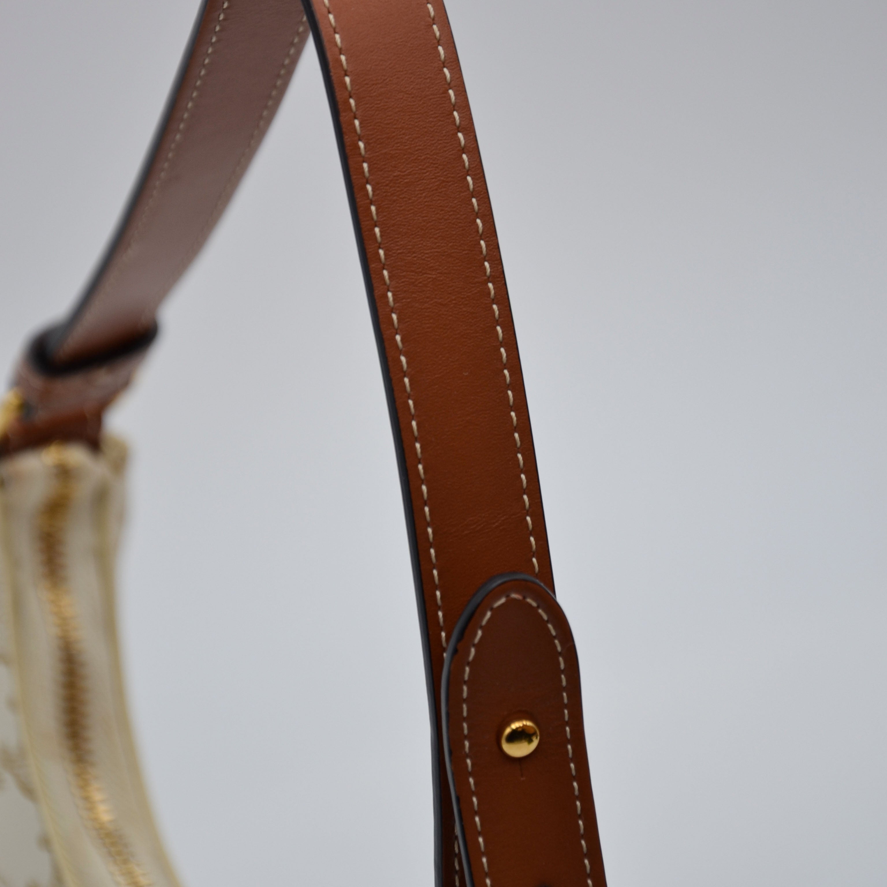 Céline Ava Toile Triomphe