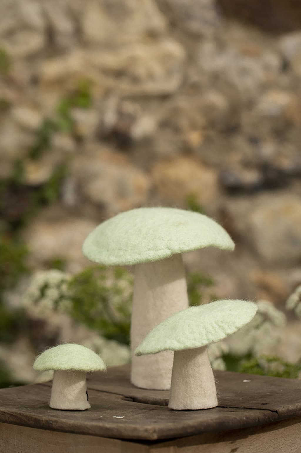 Funghi - Menta