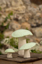 Funghi - Menta