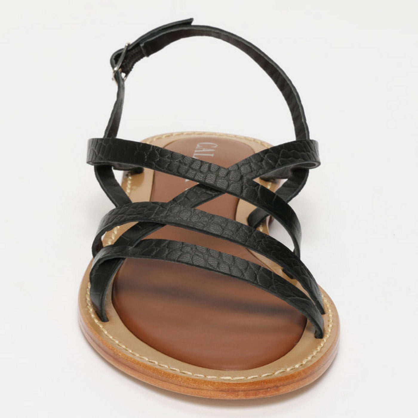 Diva - Black Croco