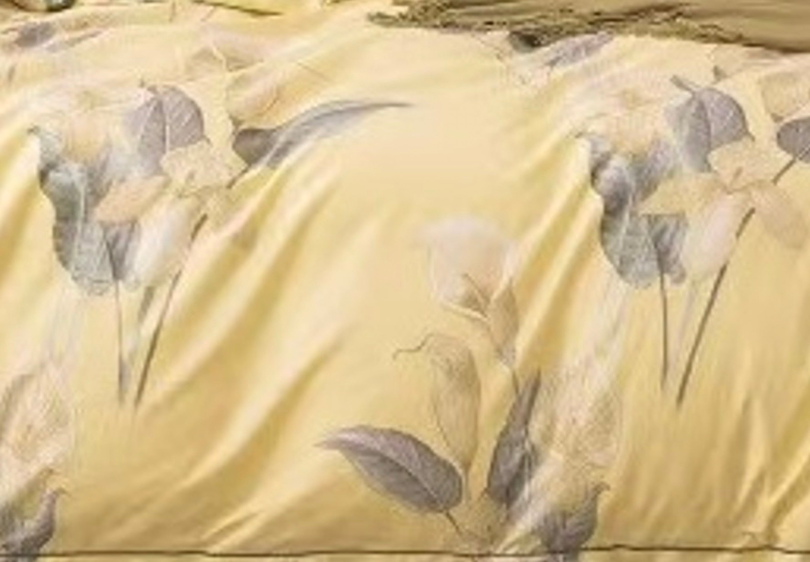 Juego de Edredón Estampado Doble Cara + 2 Fundas de Almohada con Volantes Planos de Piqué - 100% Puro Algodón Percal Peinado