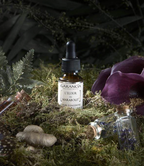 [The Elixir Of The Marabout]