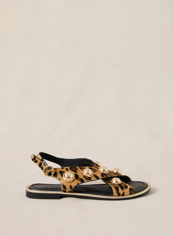 Sandalias Coberts - Leopardo