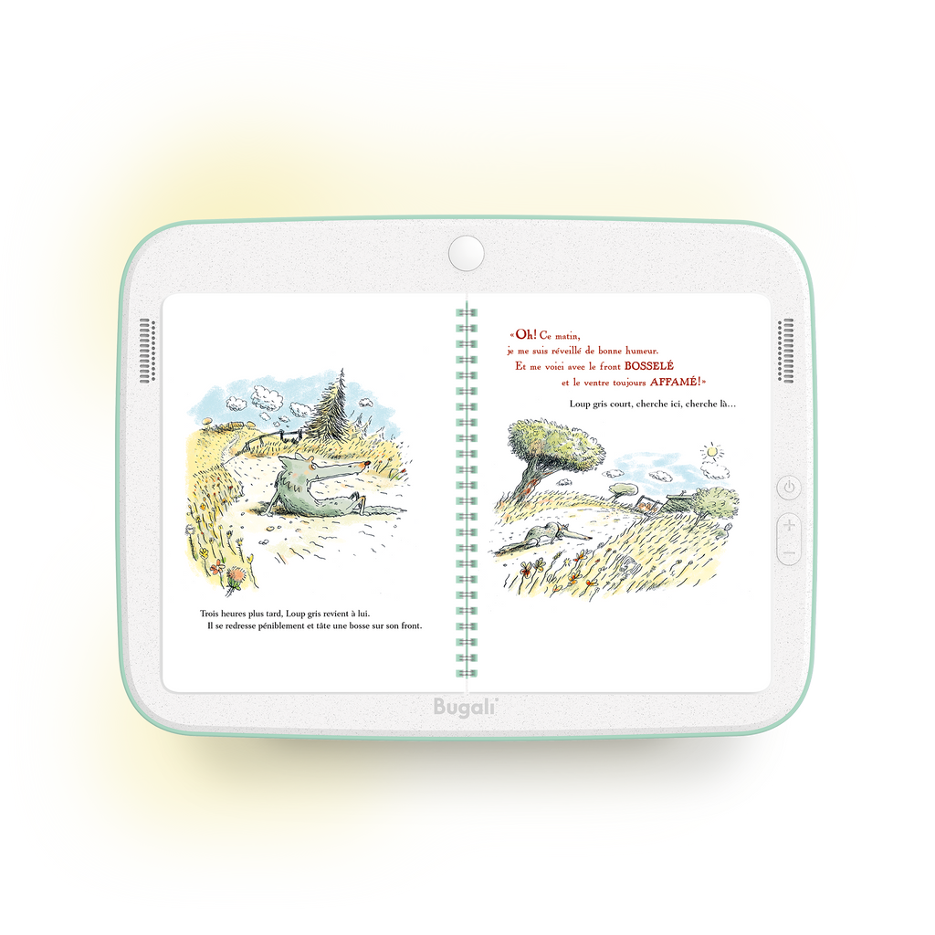 Book - The Good Mood of Gray Wolf (5+)