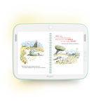 Book - The Good Mood of Gray Wolf (5+)