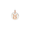 Charm Stier - 9K Roségold & Silber