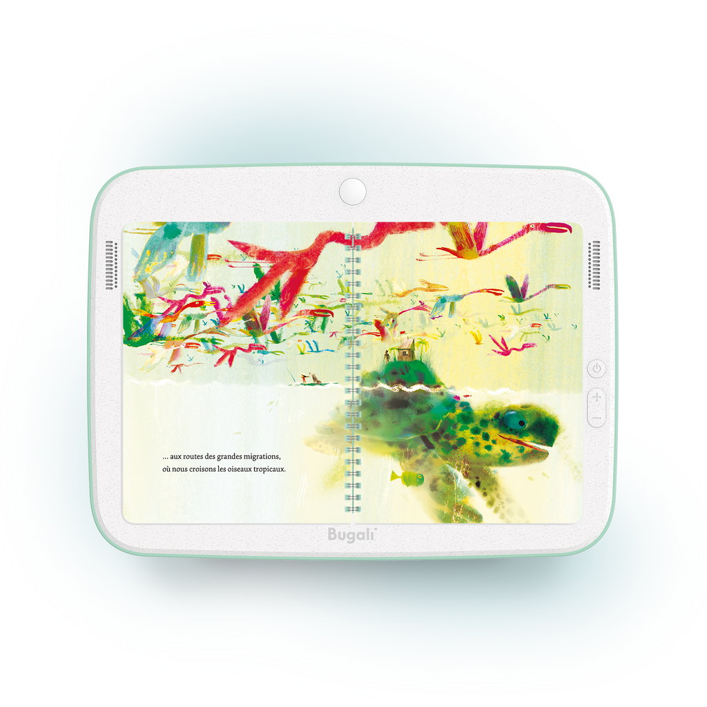 Book - My Island (5+)