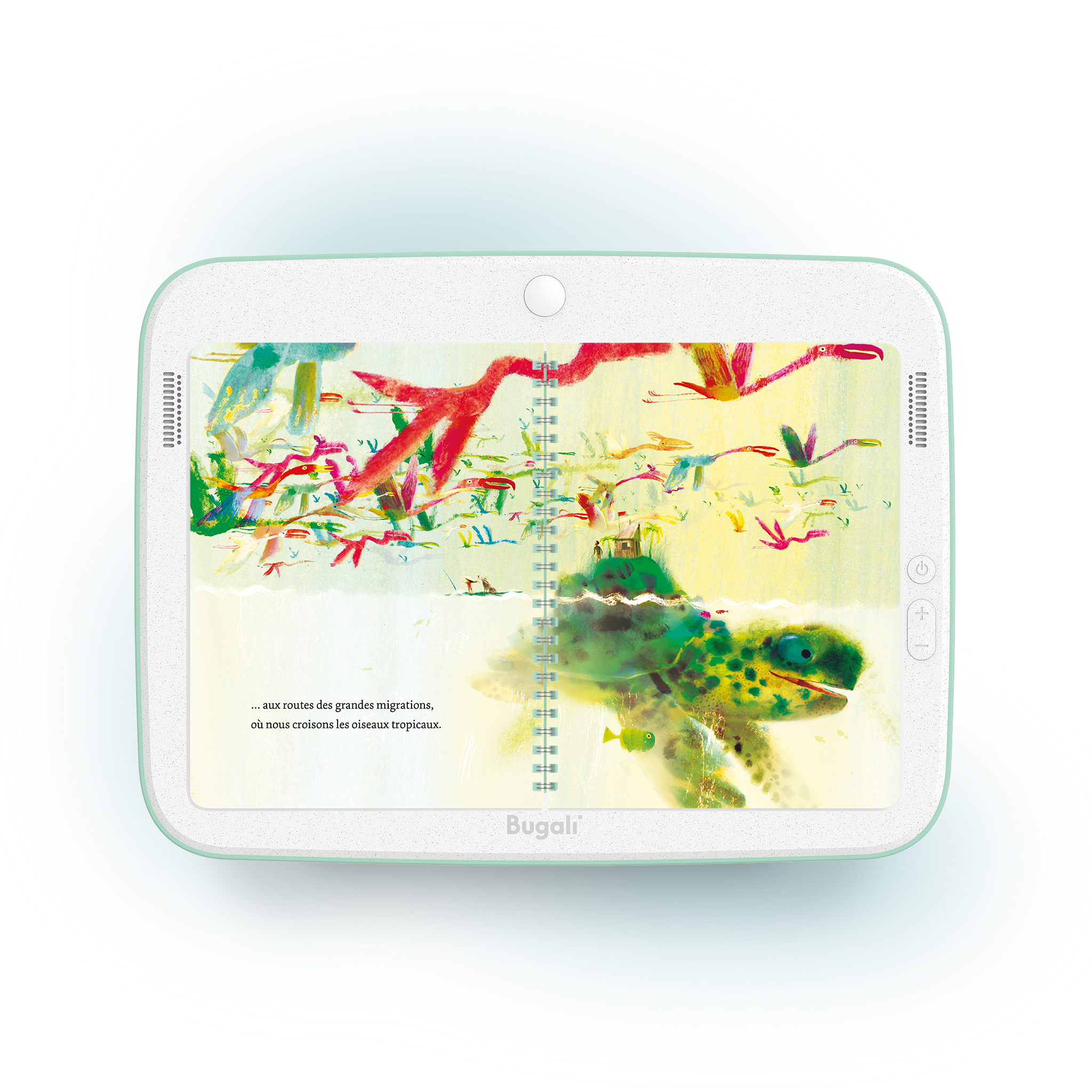 Book - My Island (5+)