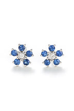 Pendientes “Clematis” D0.05/2 S0.80/10