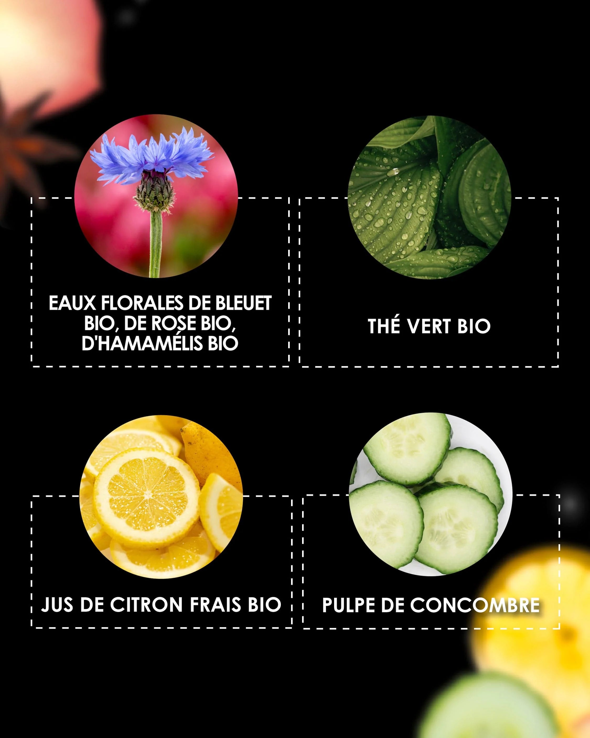 Focus on the natural ingredients of Garancia Magic Visage Pschitt: organic cornflower floral waters, organic rose and organic witch hazel, organic green tea, fresh organic lemon juice and cucumber pulp.
