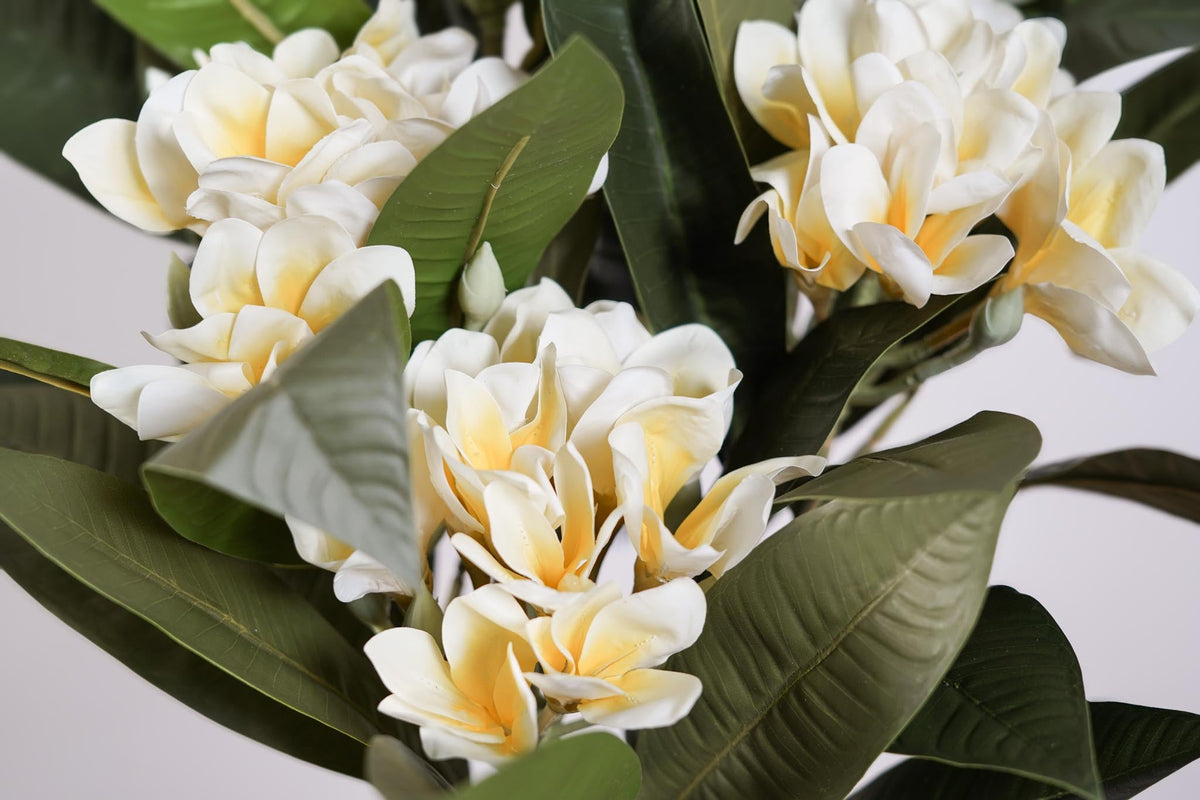 Flor De Frangipani Artificial Amarilla