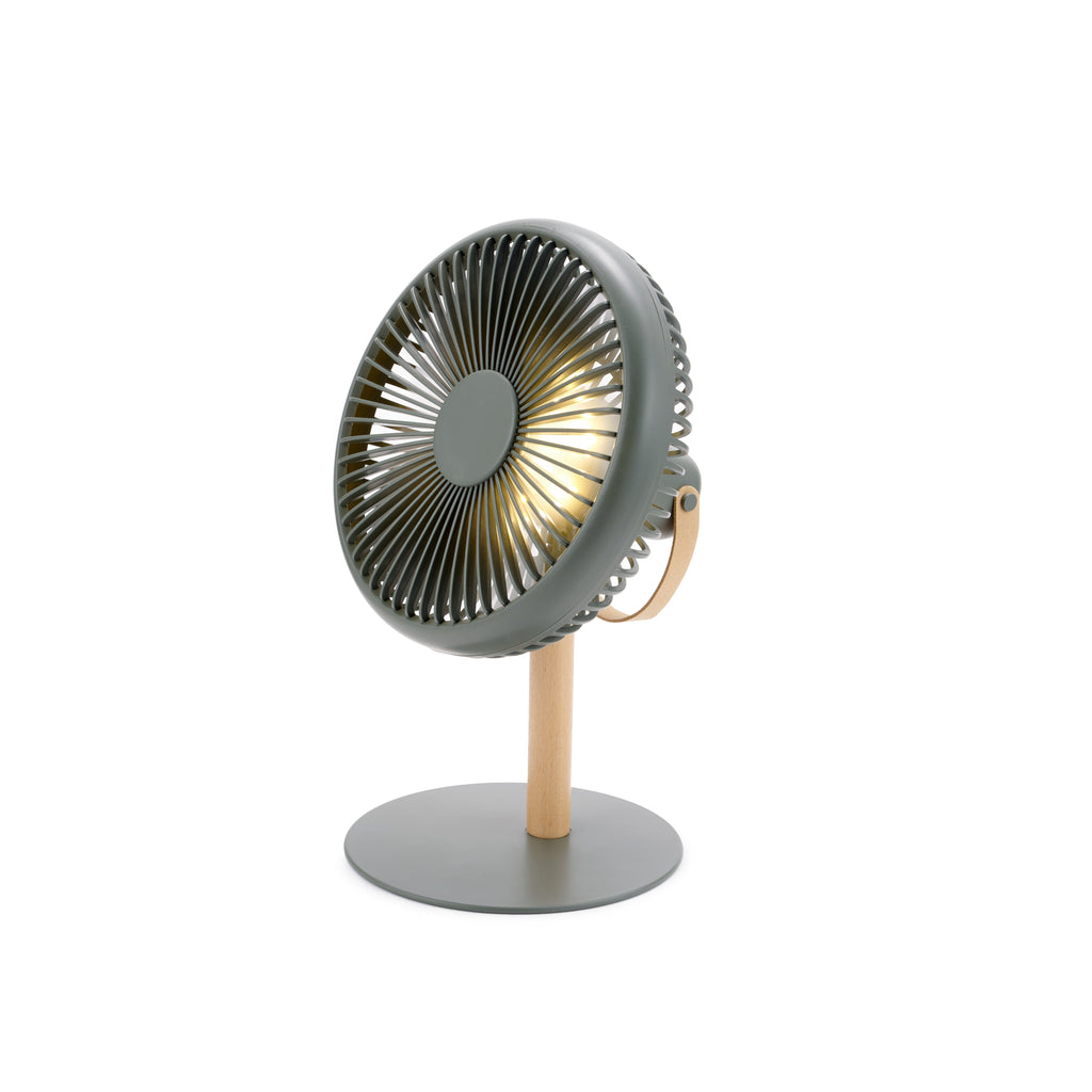 Desk Fan Lamp - Khaki Green