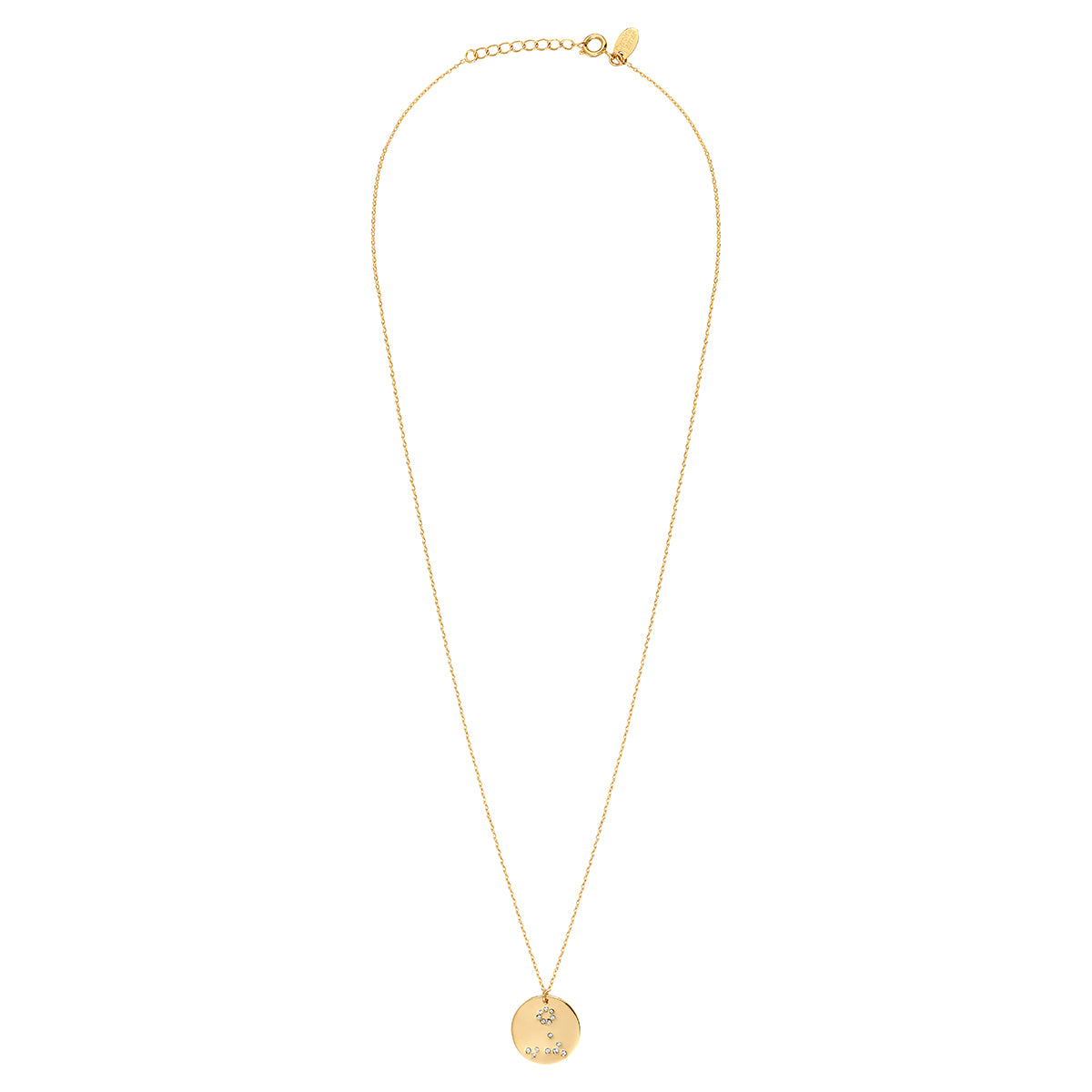 Gold Galaxy Fish Necklace
