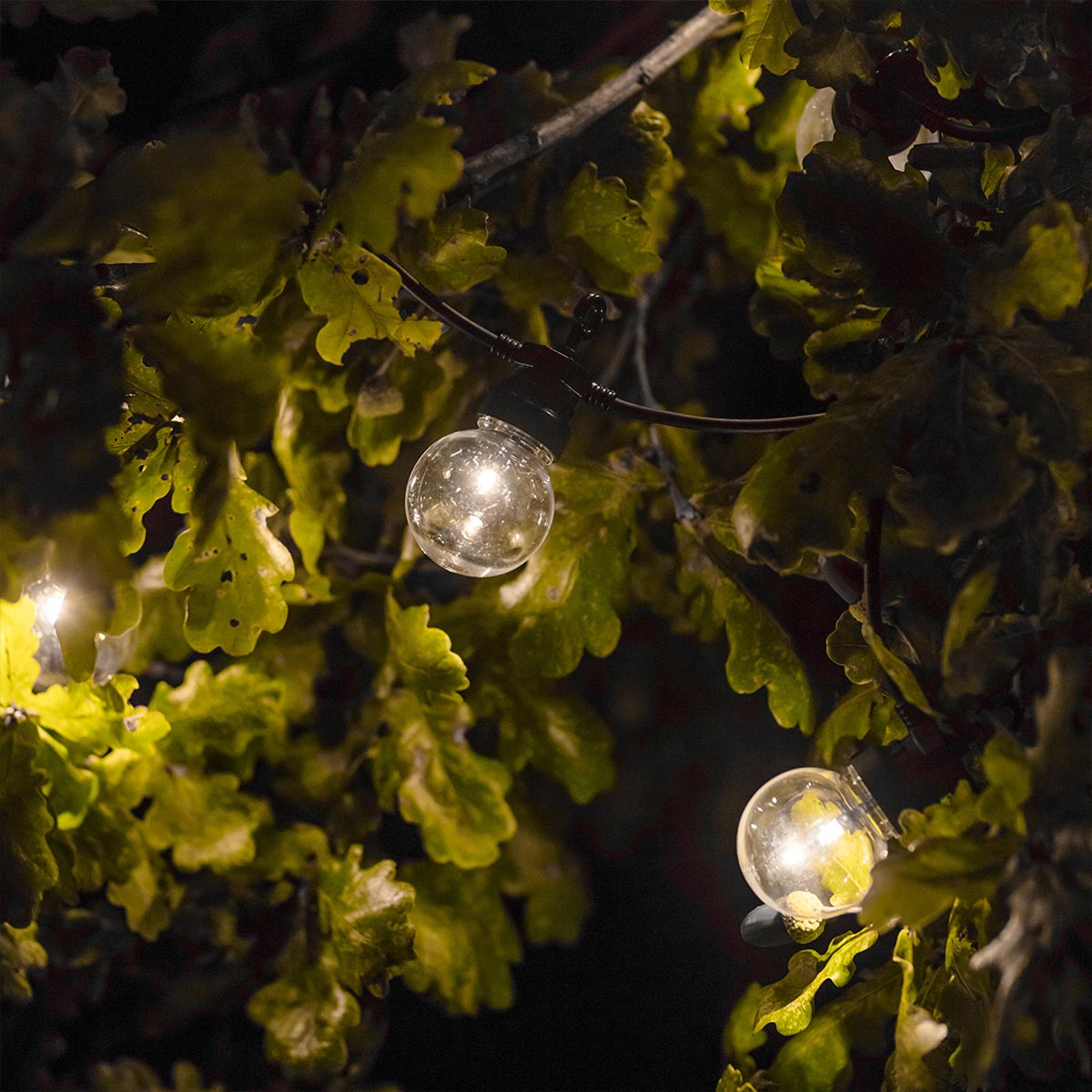 Warm white LED string lights 20 transparent bulbs PARTY CLEAR 20 L8.70m - REDDECO.com