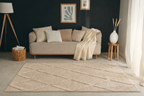 Harmonie - Indoor Rug - Polypropylene - Beige