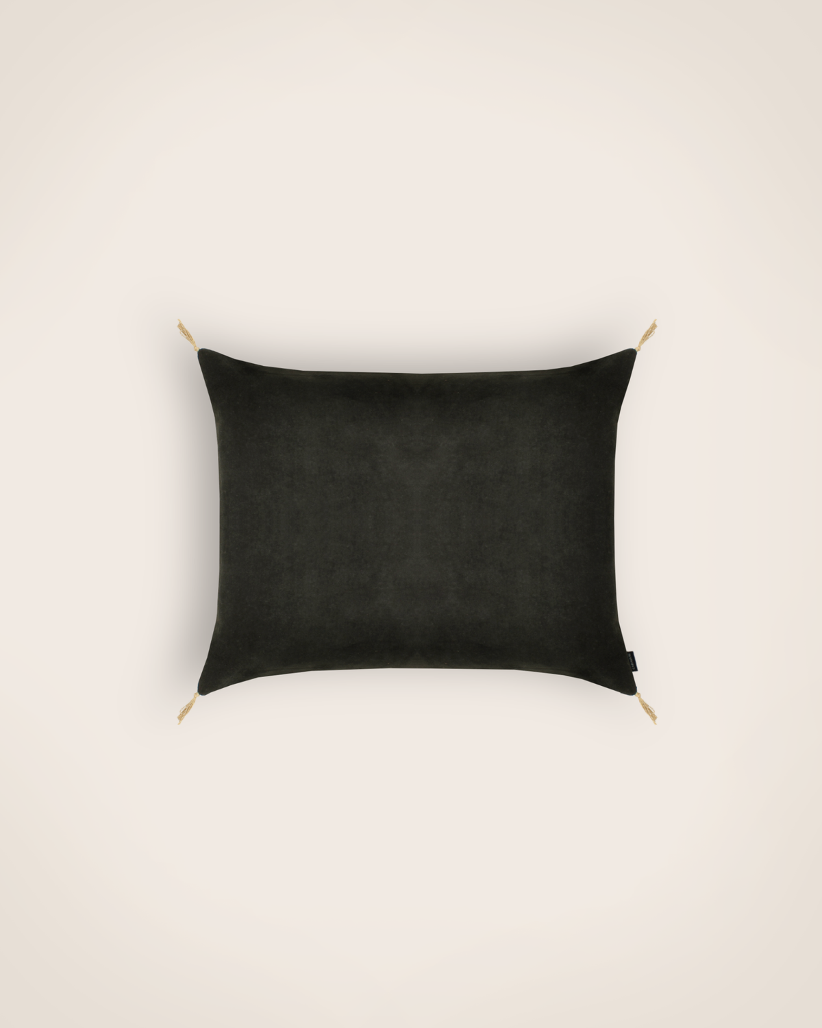 Housse De Coussin - Velours