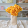 Hortensia Amarillo Mostaza