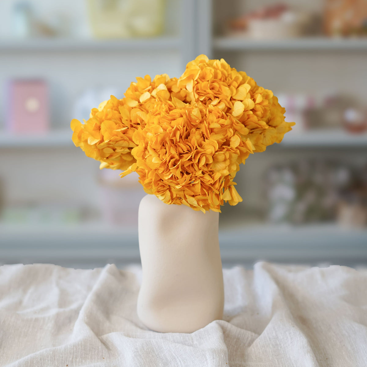 Hortensia Amarillo Mostaza