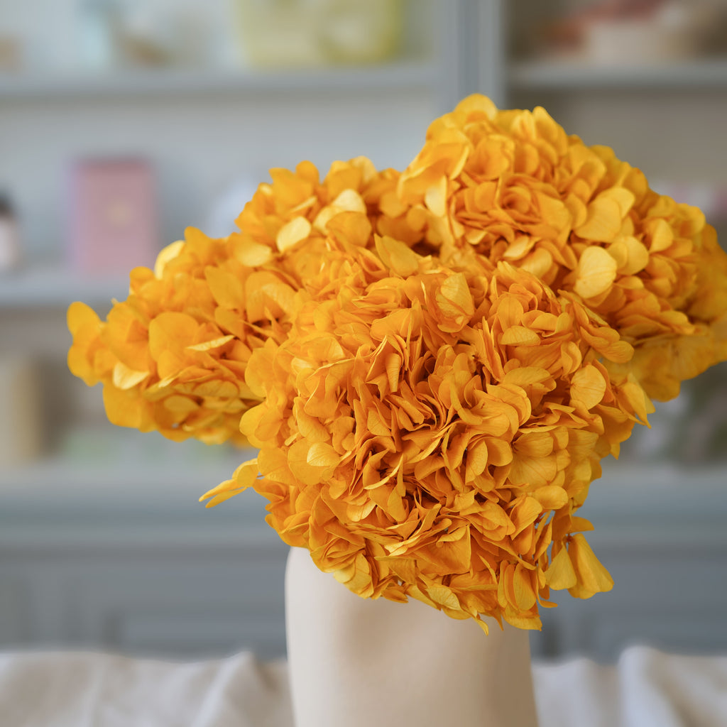 Hortensia Amarillo Mostaza