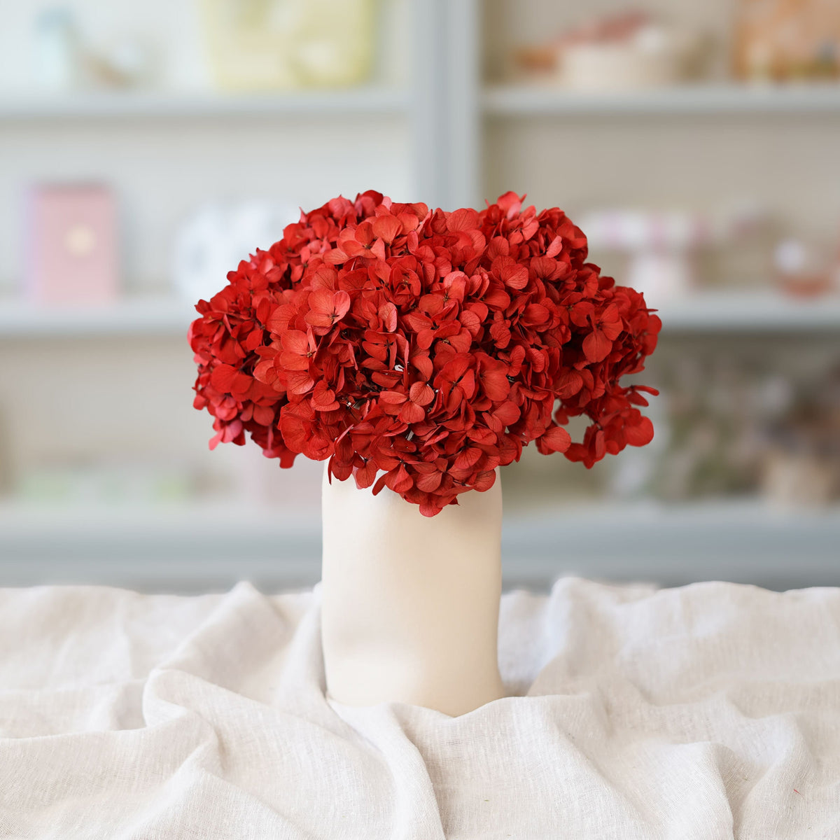 Hortensia Rouge