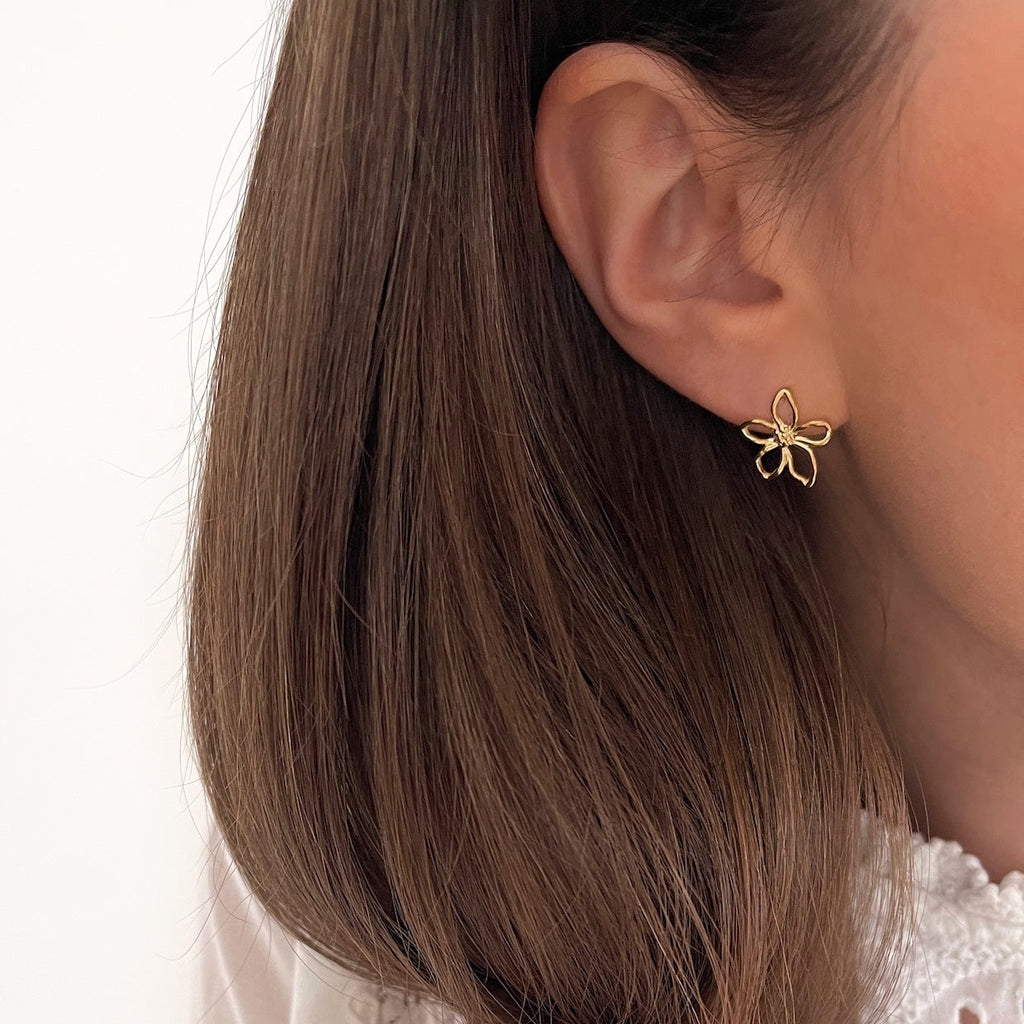 Boucles D'Oreilles Eline - Acier
